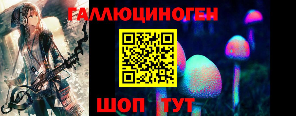 Галлюциногенные грибы Psilocybine cubensis  Вход с VPN  Партизанск 