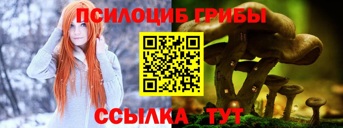 Галлюциногенные грибы GOLDEN TEACHER Партизанск